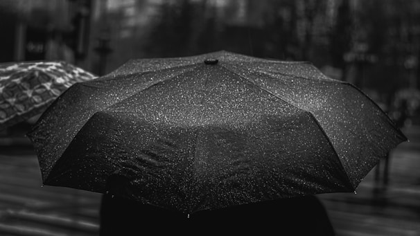A close-up image of a sleek, high-quality umbrella open against a rainy backdrop.