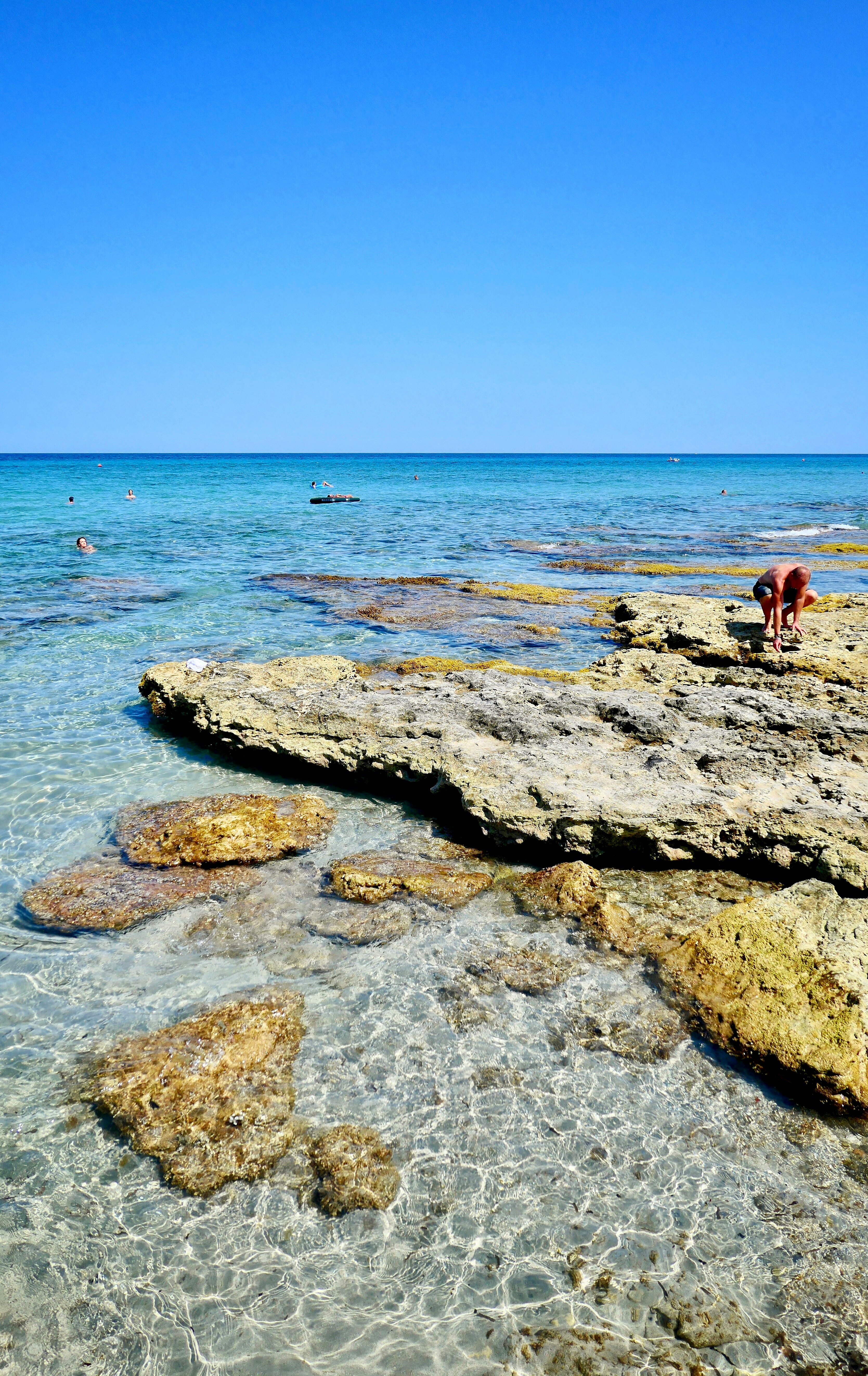 people on beach during daytime