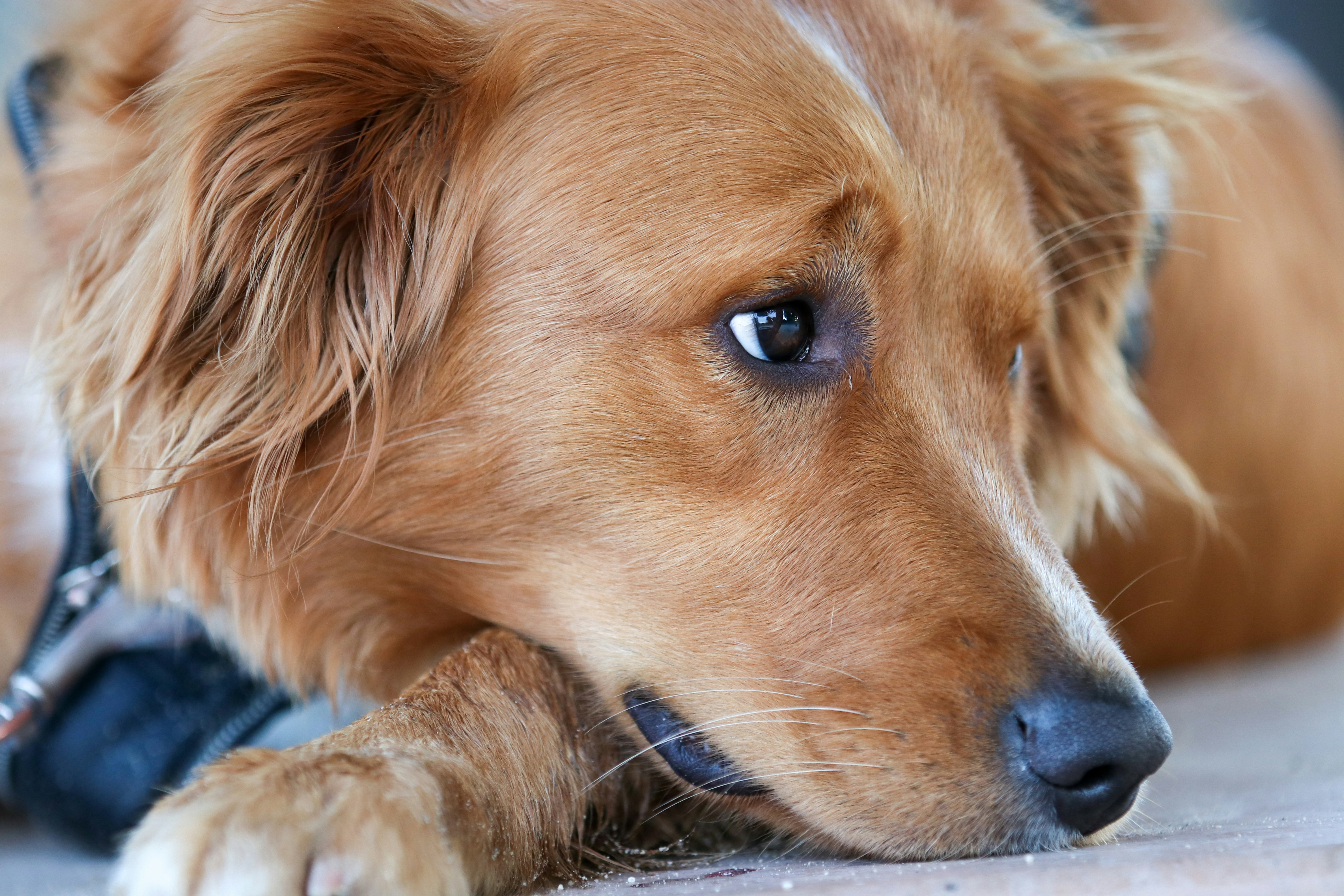 Photo by horizonstudios