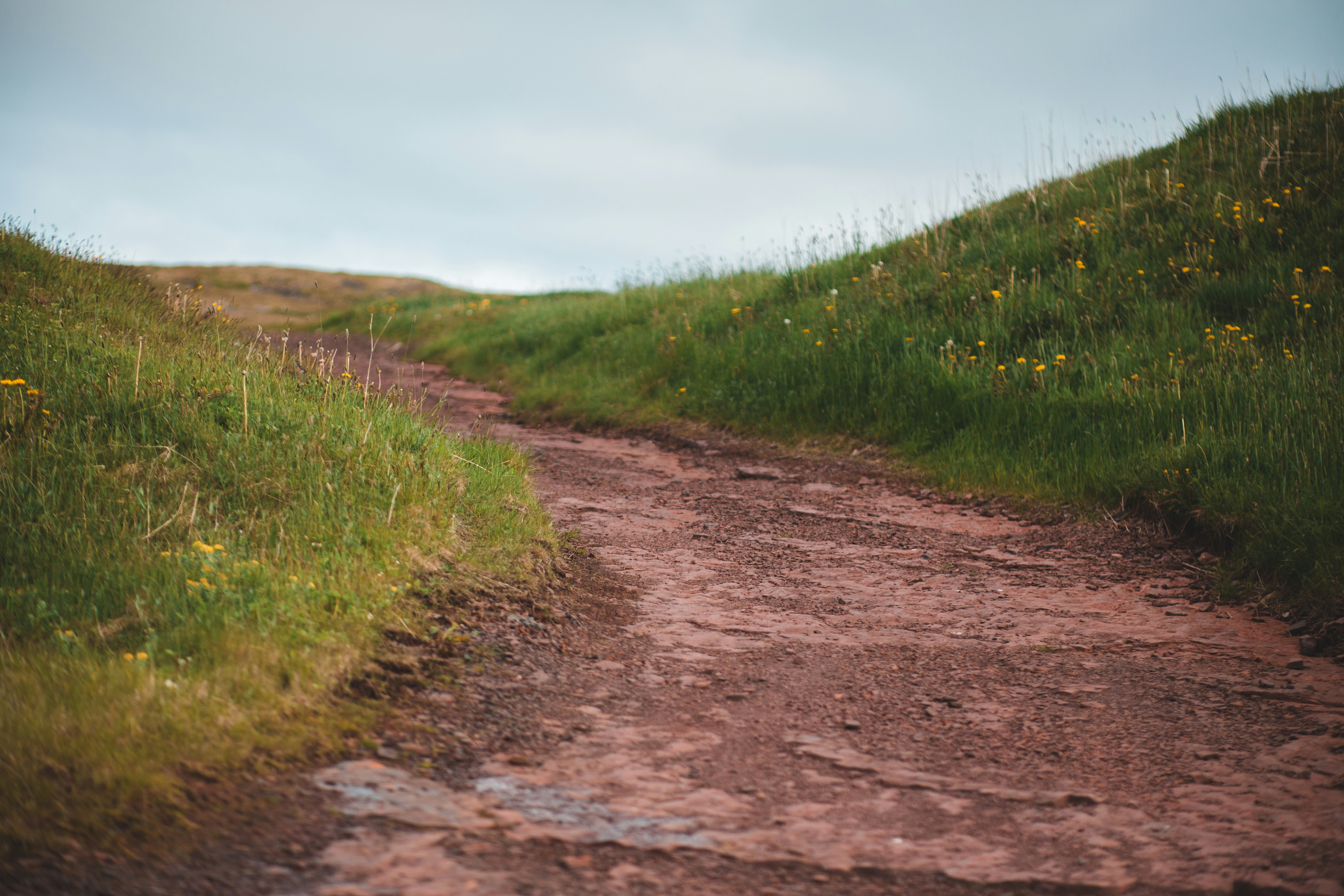 Photo by introspectivedsgn