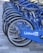 A row of blue bicycles is aligned on a tiled surface, each bicycle featuring the LinkedIn logo prominently displayed on the side panels. The bicycles are neatly arranged, suggesting they are part of a bike-sharing program or rental service.