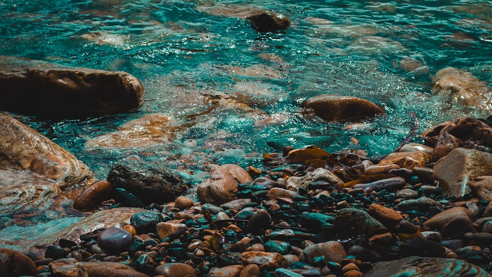 brown rocks on body of water during daytime