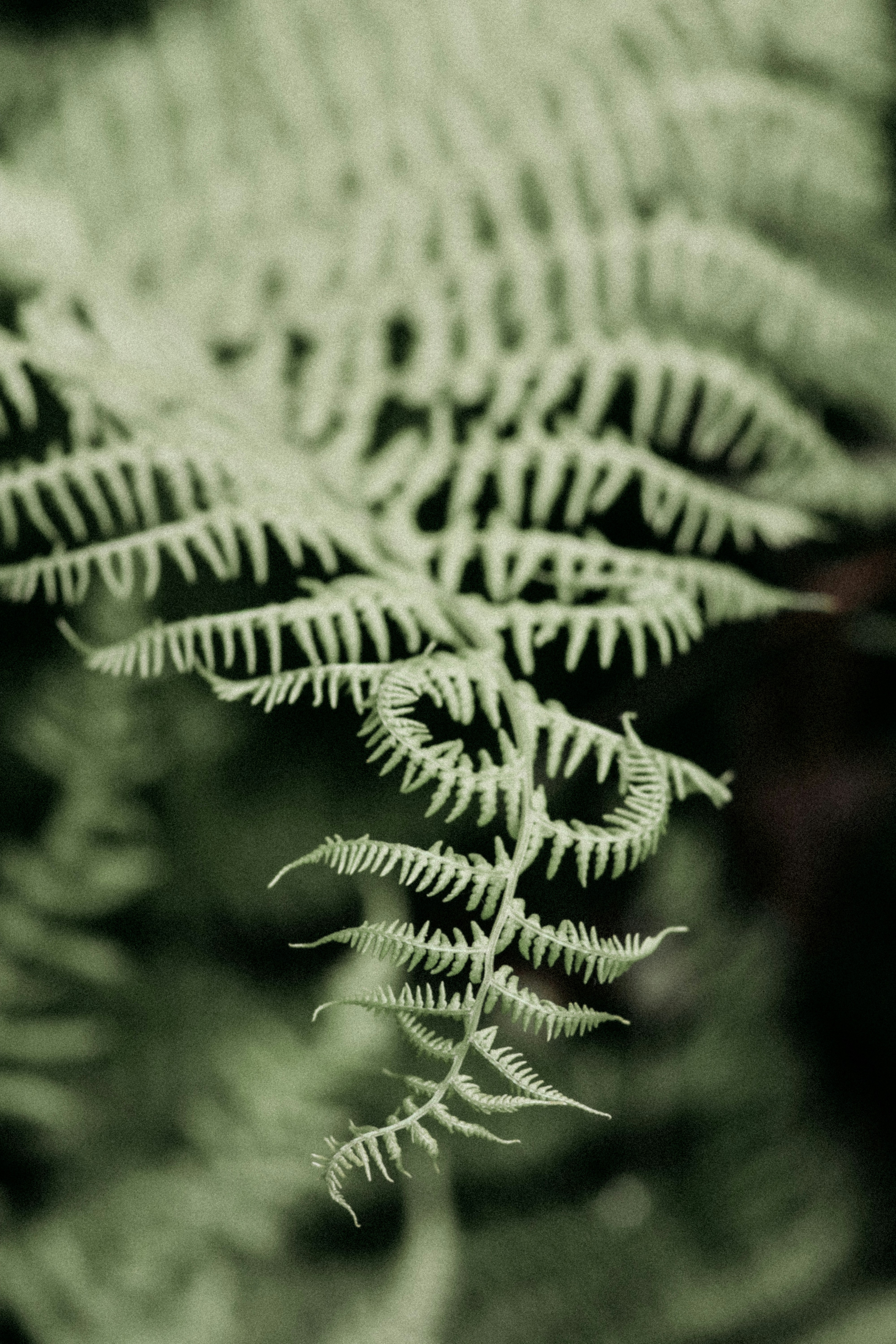 Photo by andrrewphoto