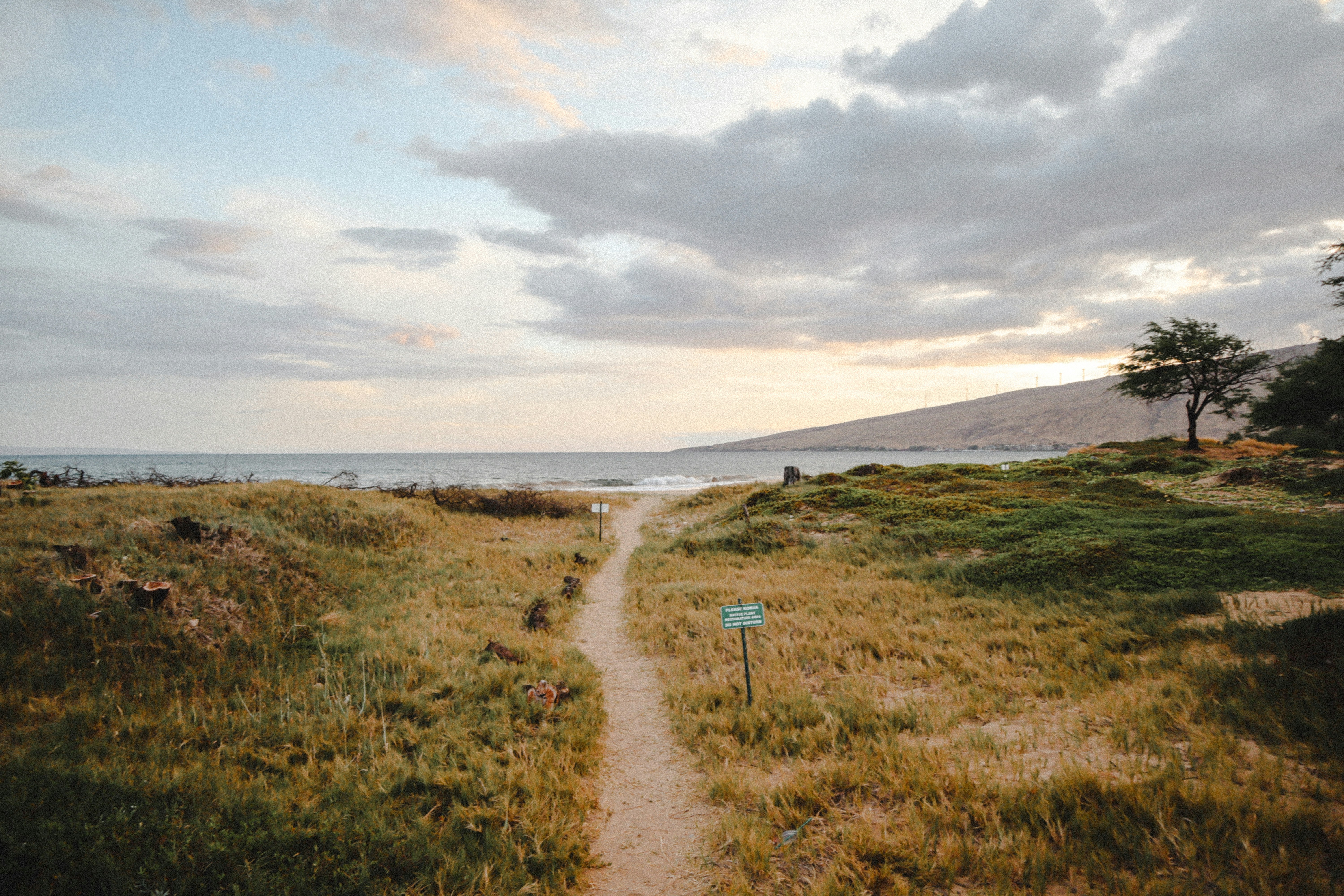 Photo by andrrewphoto