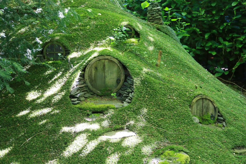 grünes Moos auf braunem Holzstamm