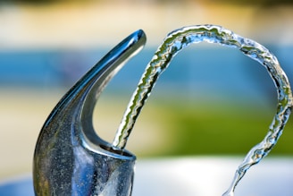 Thirsty for God