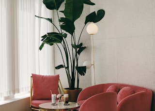 red leather sofa chair beside green indoor plant