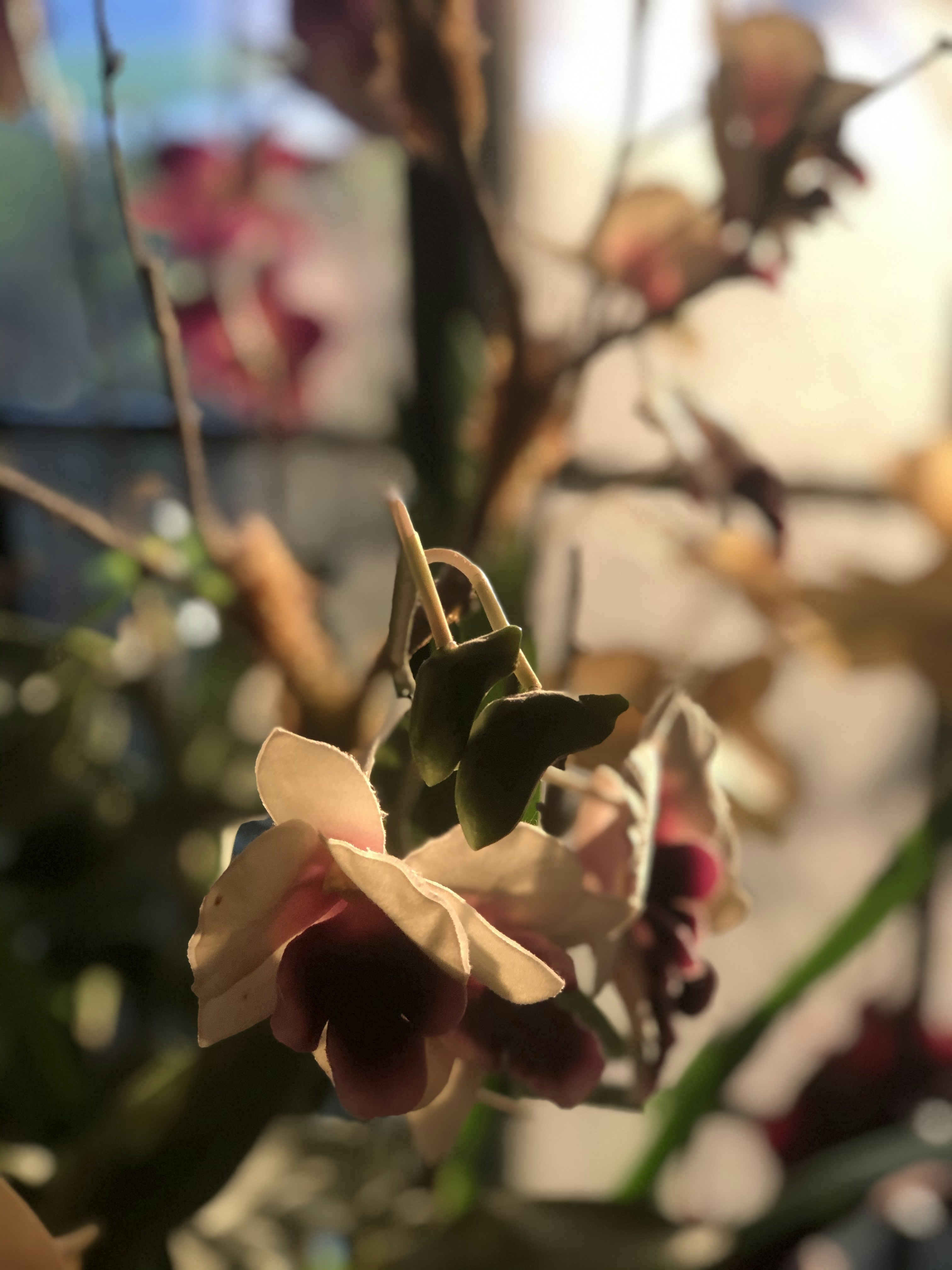 Photo by photography_yeti