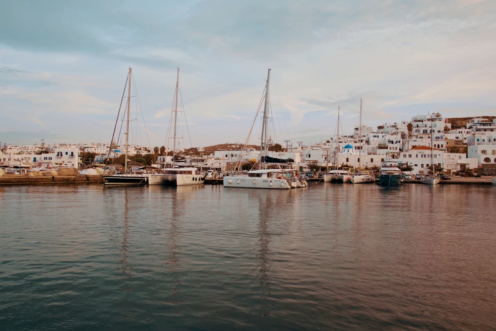 white and blue boat on body of water during daytime