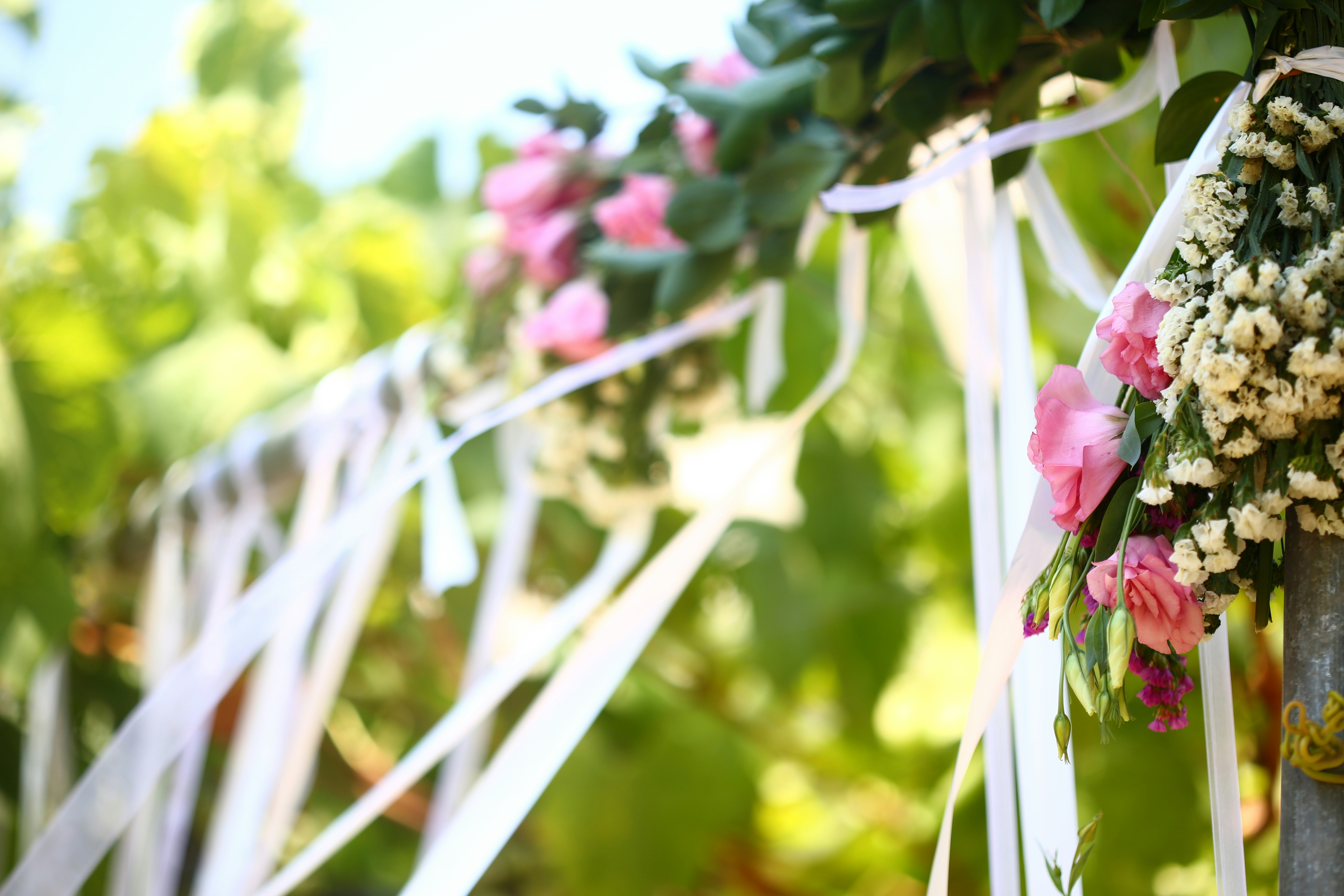 pink and white flowers in tilt shift lens