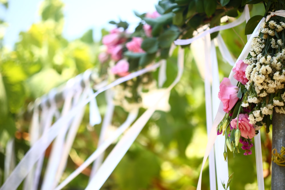 pink and white flowers in tilt shift lens