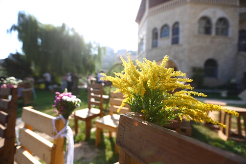 A sunlit garden with rustic wooden chairs arranged for an outdoor wedding ceremony.