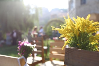 A sunlit outdoor setting with wooden chairs and vibrant floral arrangements. Yellow and pink flowers are prominently displayed, creating a cheerful atmosphere. The background is slightly blurred, with indistinct figures suggesting a gathering or event taking place.