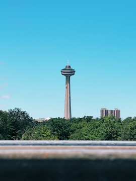 A newly built climbing tower surrounded by lush greenery under a clear sky.