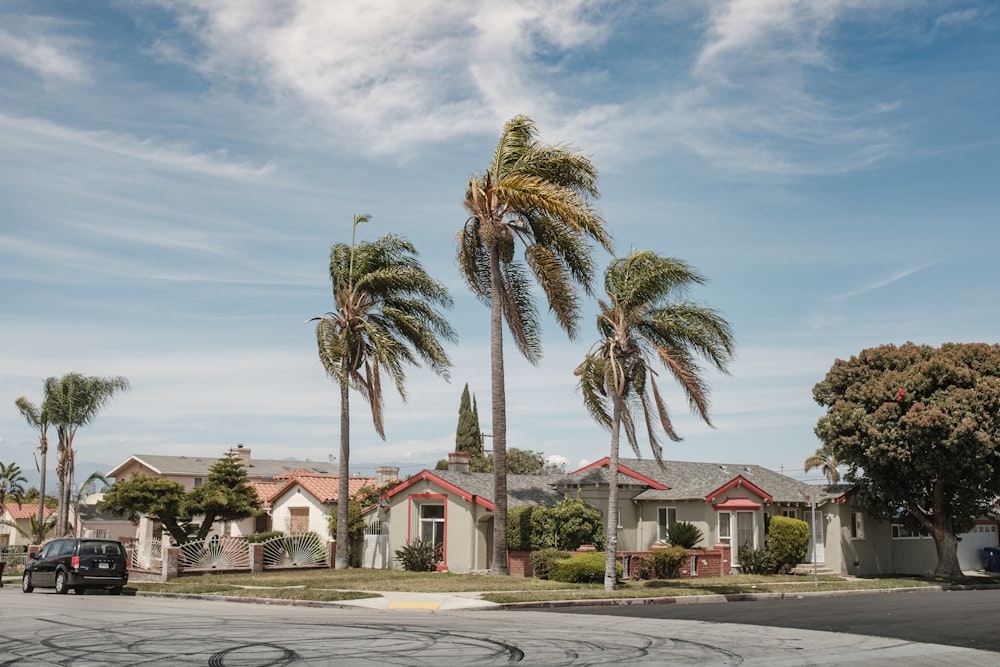 white and red house near palm trees under blue sky during daytime