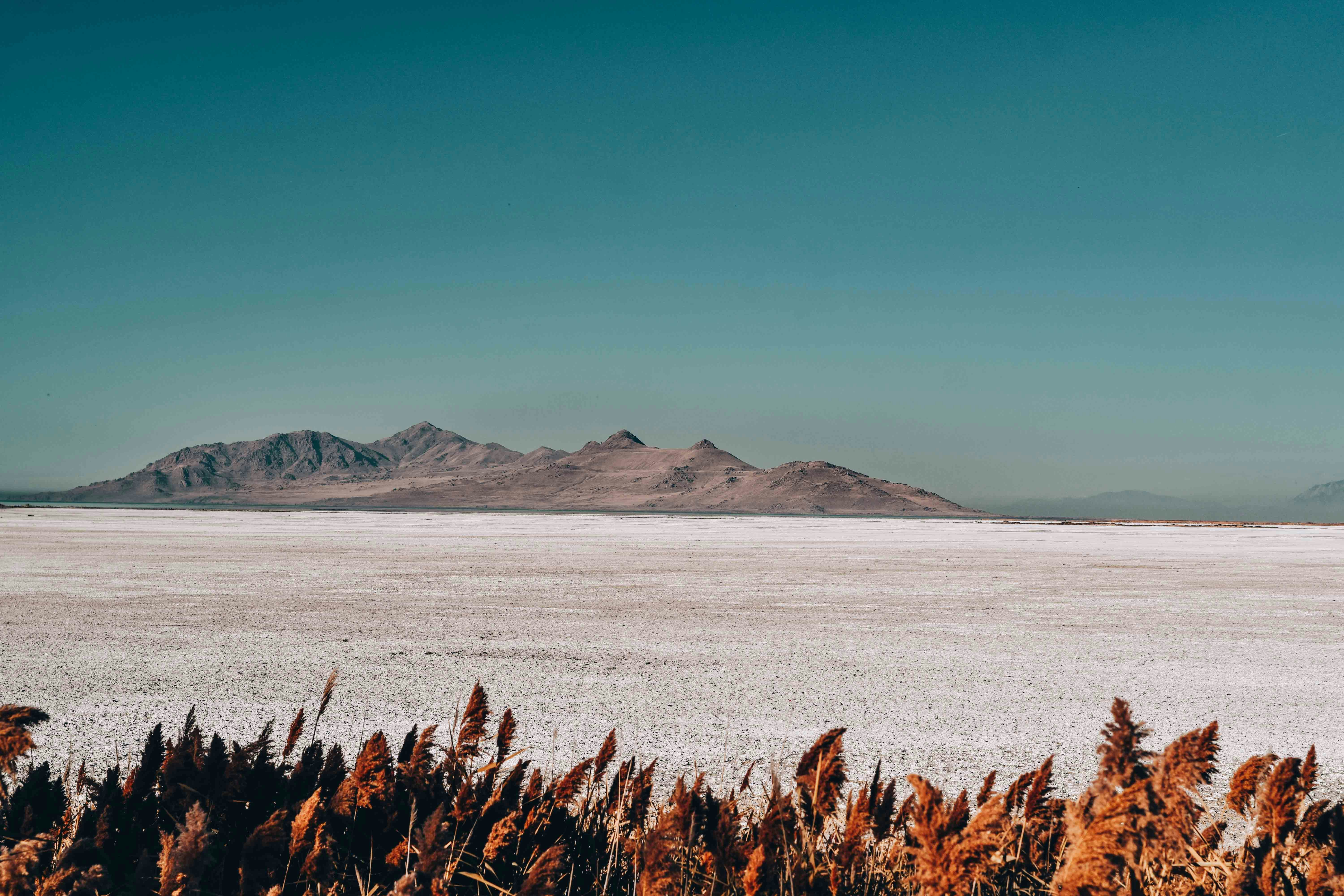 brown grass near body of water during daytime, if you like my work, please help me by following me on my Instagram @elgabo.photography 
