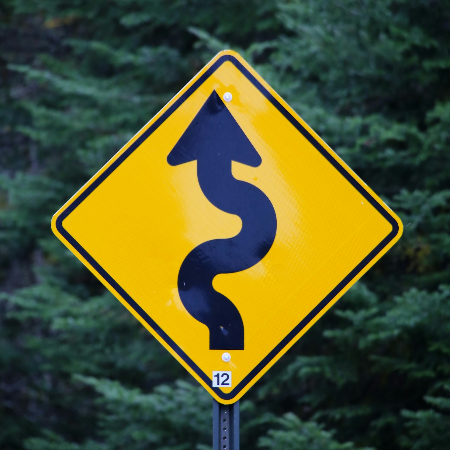 Yellow road sign with curvy black arrow in forest.