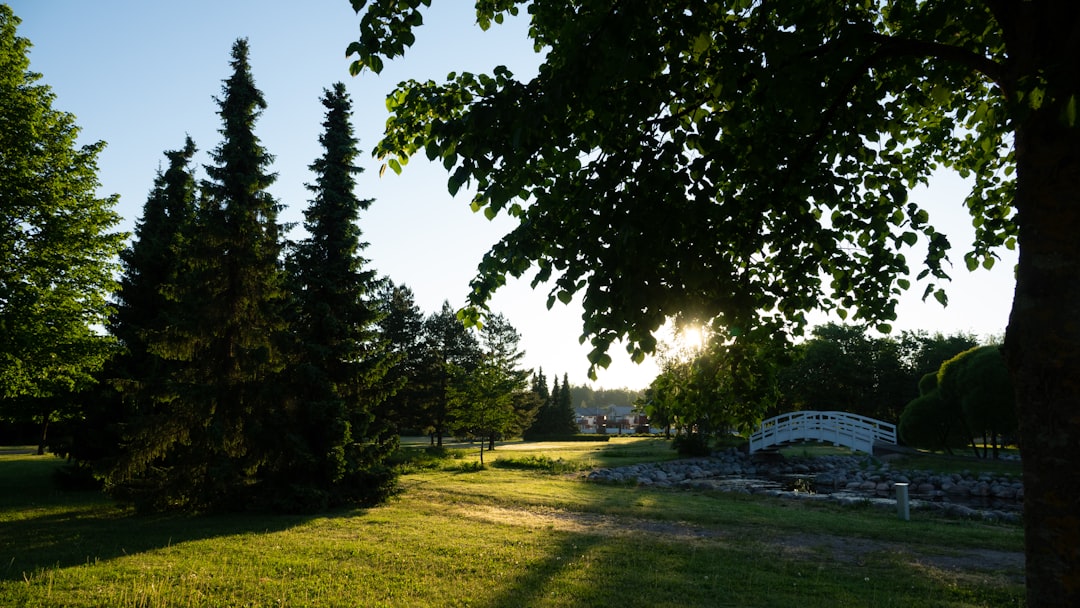photo of Parainen Nature reserve near Turku Castle