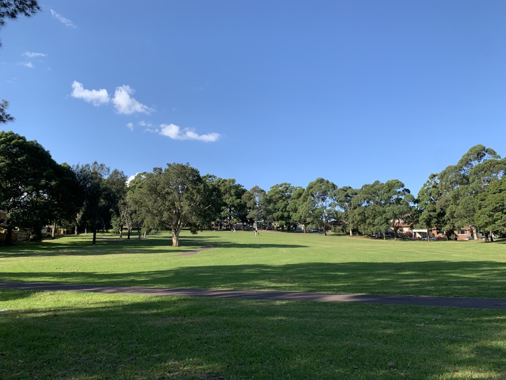 Grünes Grasfeld mit Bäumen unter blauem Himmel tagsüber