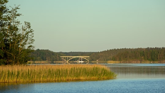 green grass field near lake during daytime in Parainen Finland