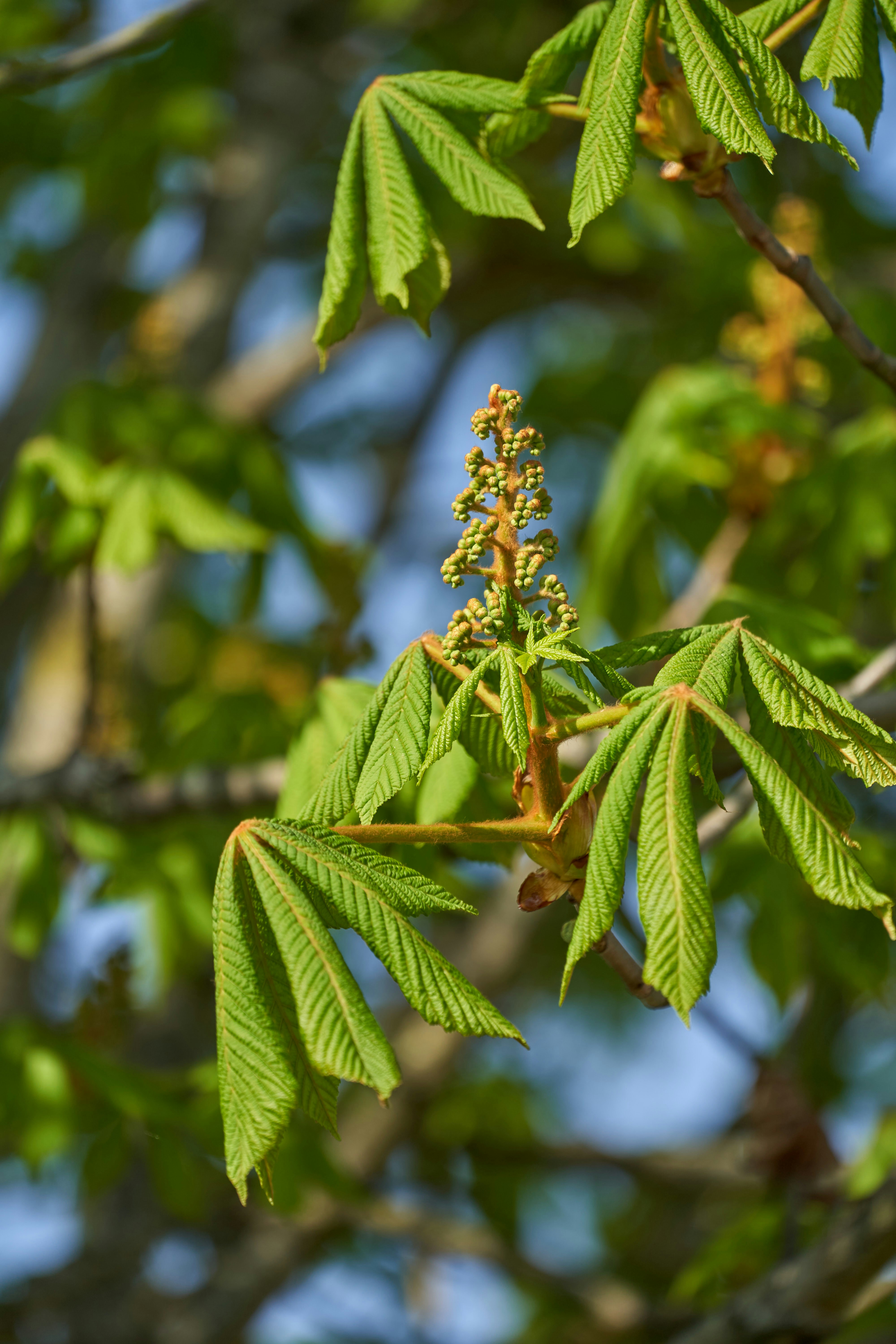 Photo by wolfgang_hasselmann