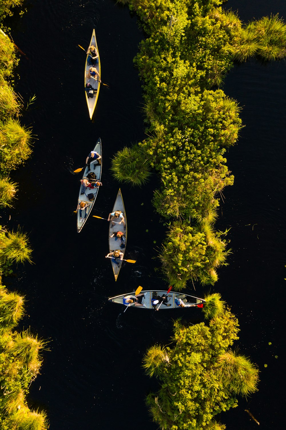 white and blue boat on body of water during daytime