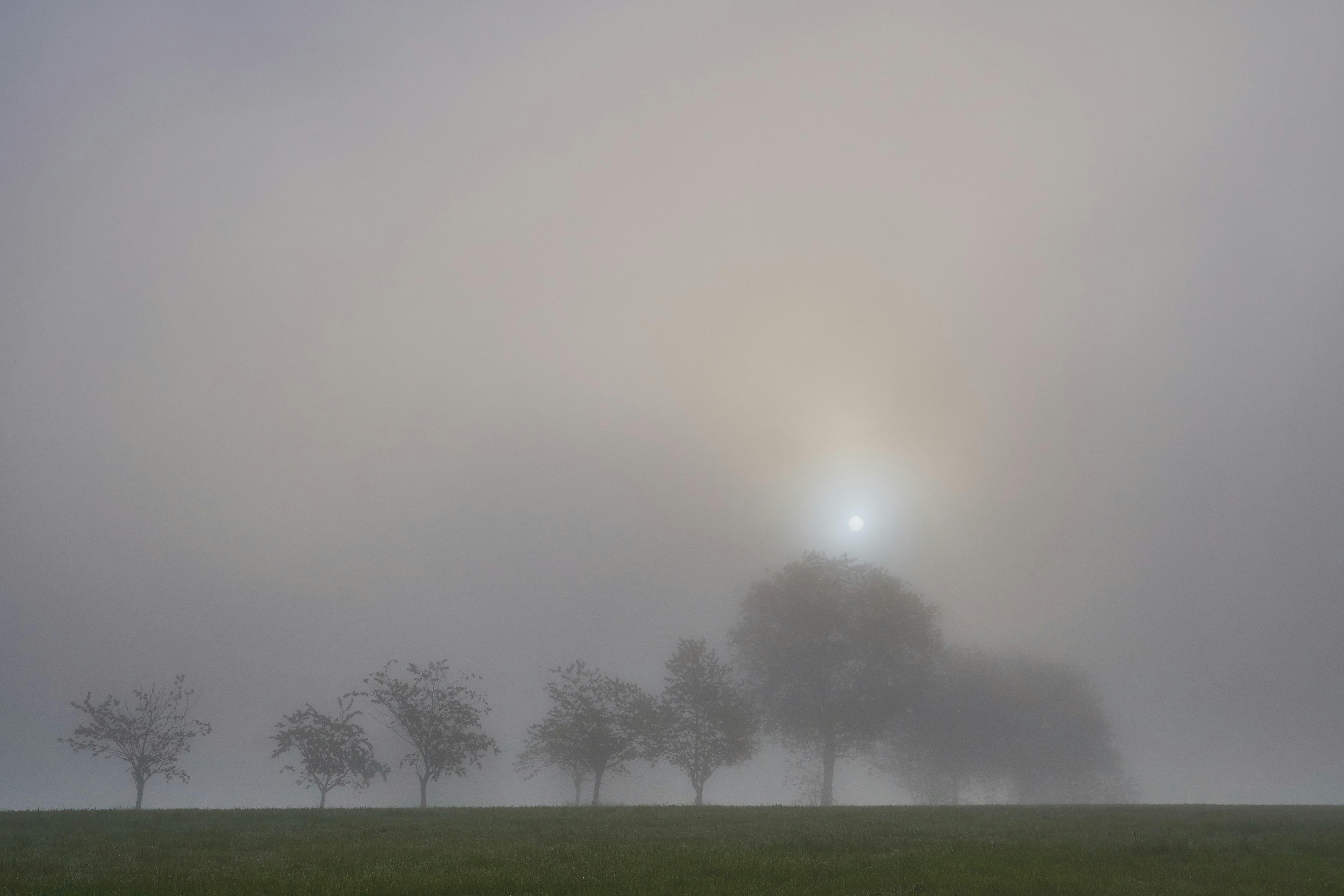 Photo by wolfgang_hasselmann