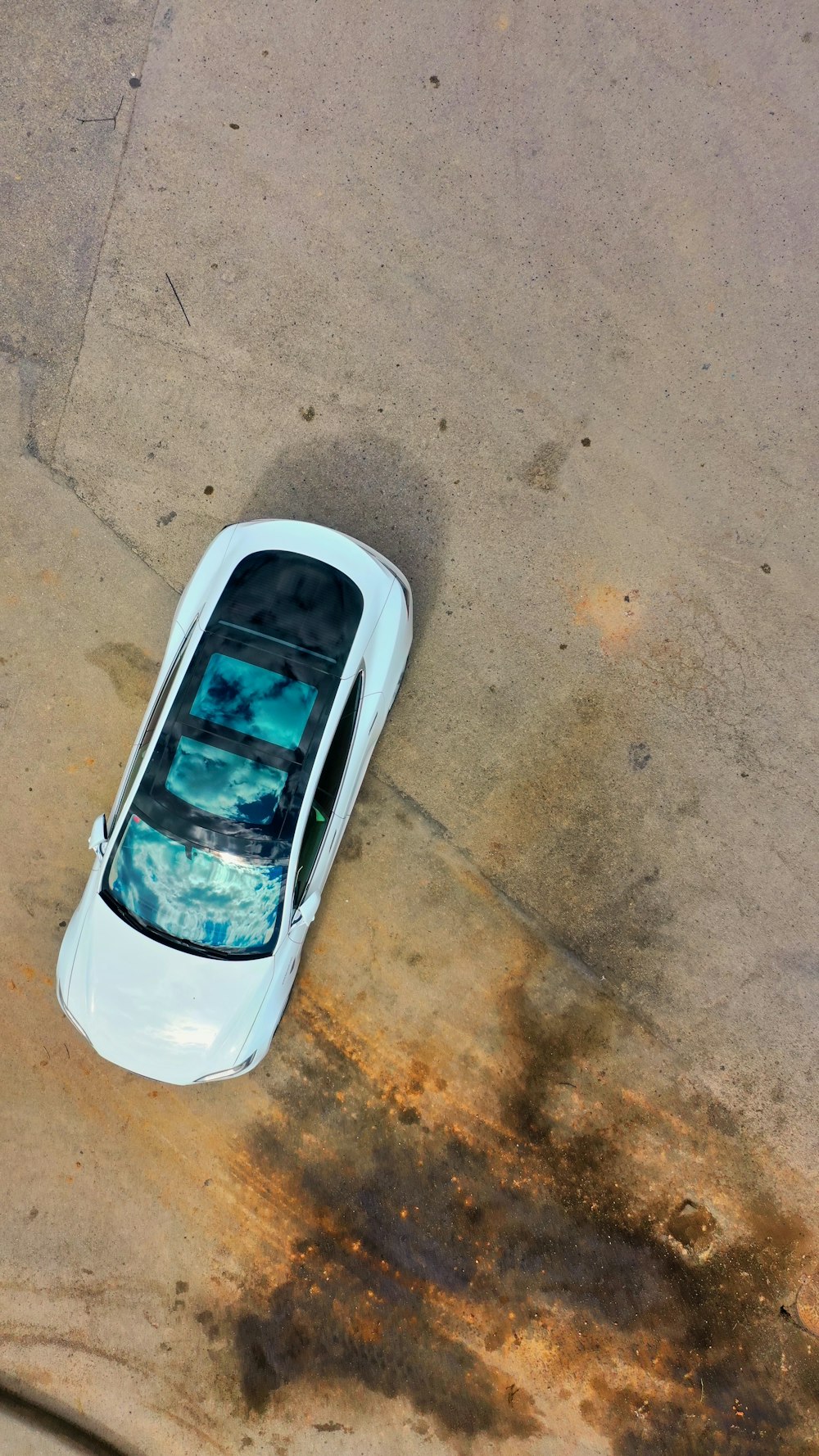 white car on gray asphalt road during daytime