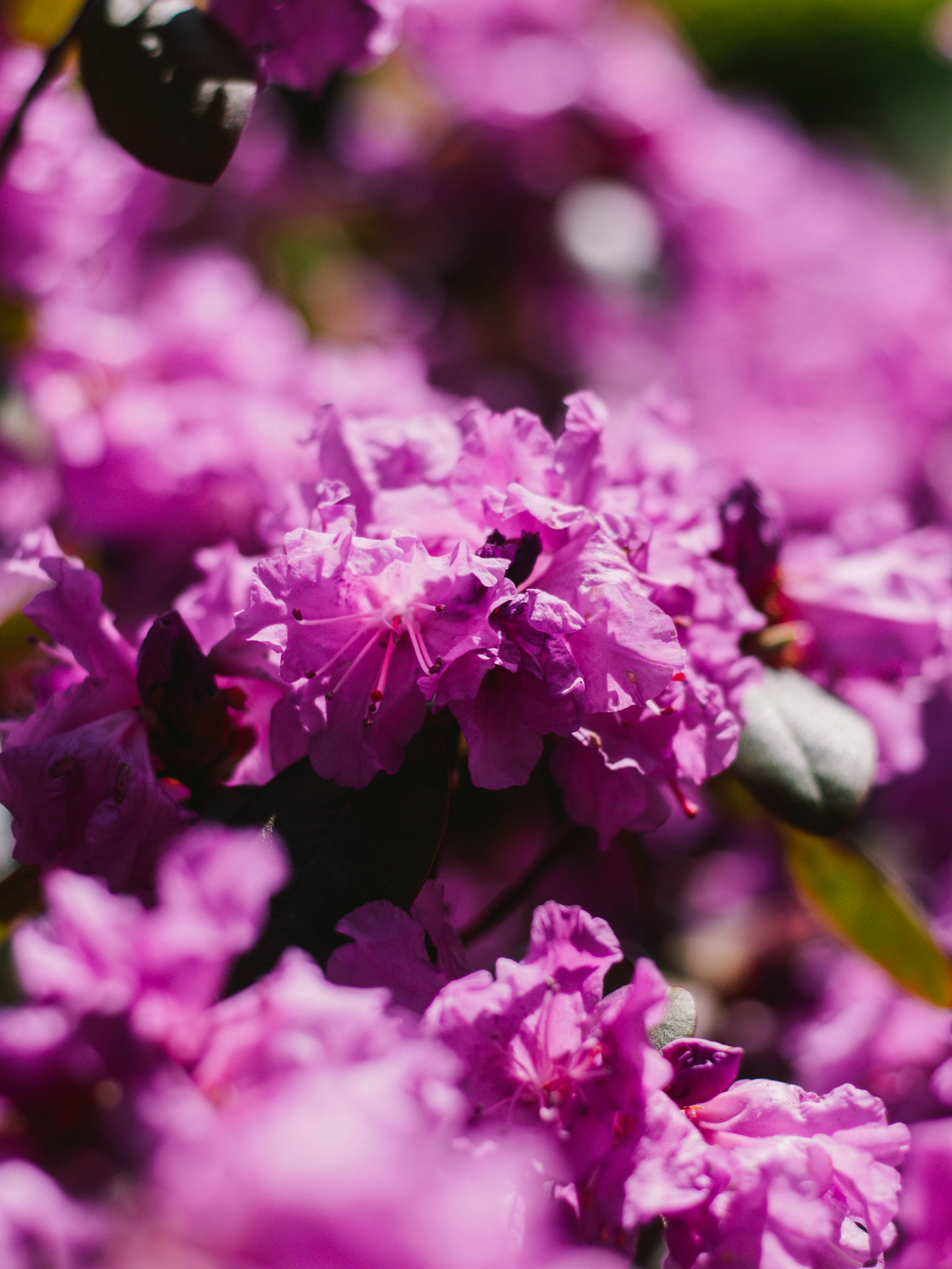 Photo by giobartlett