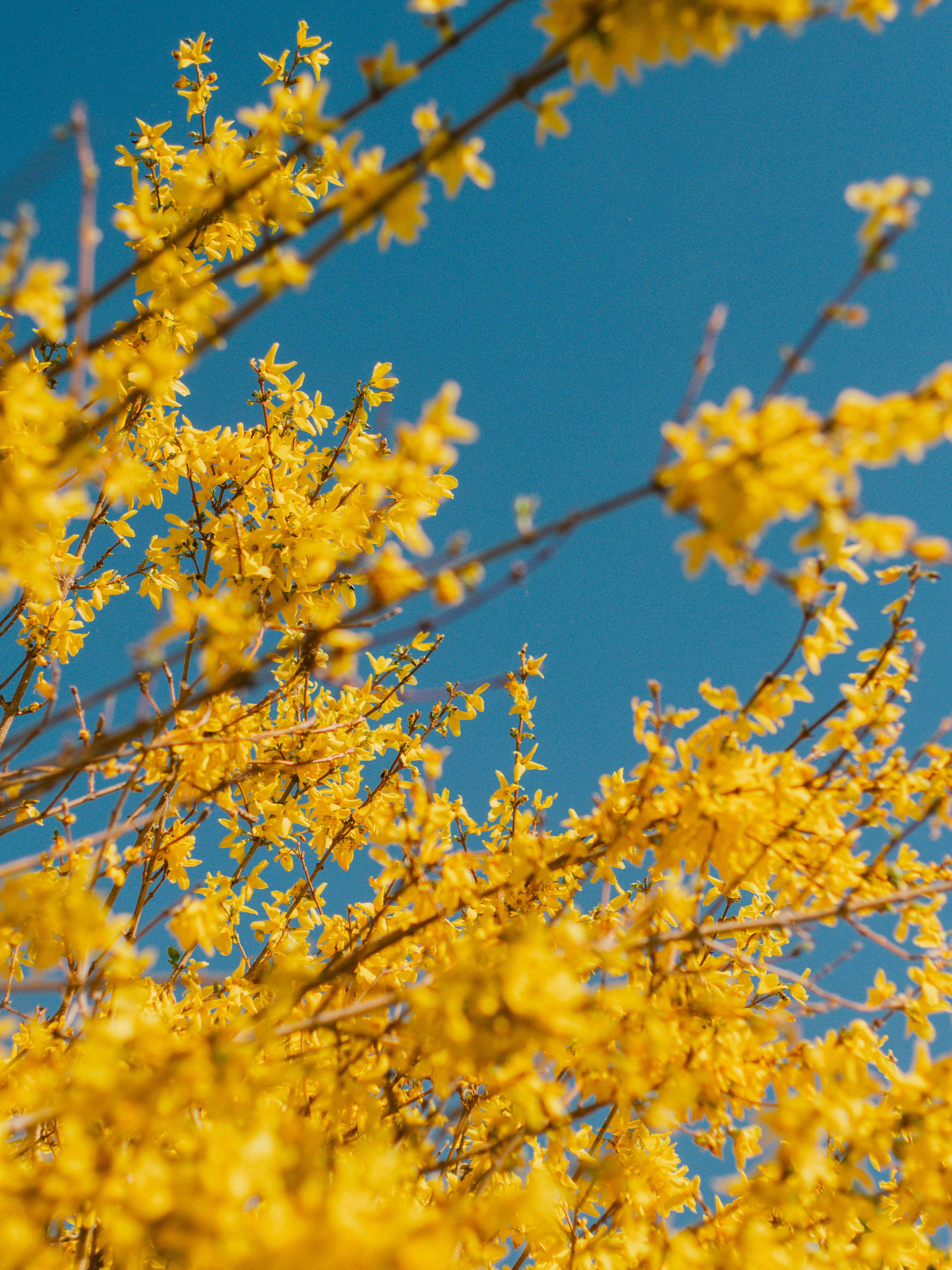 Photo by giobartlett