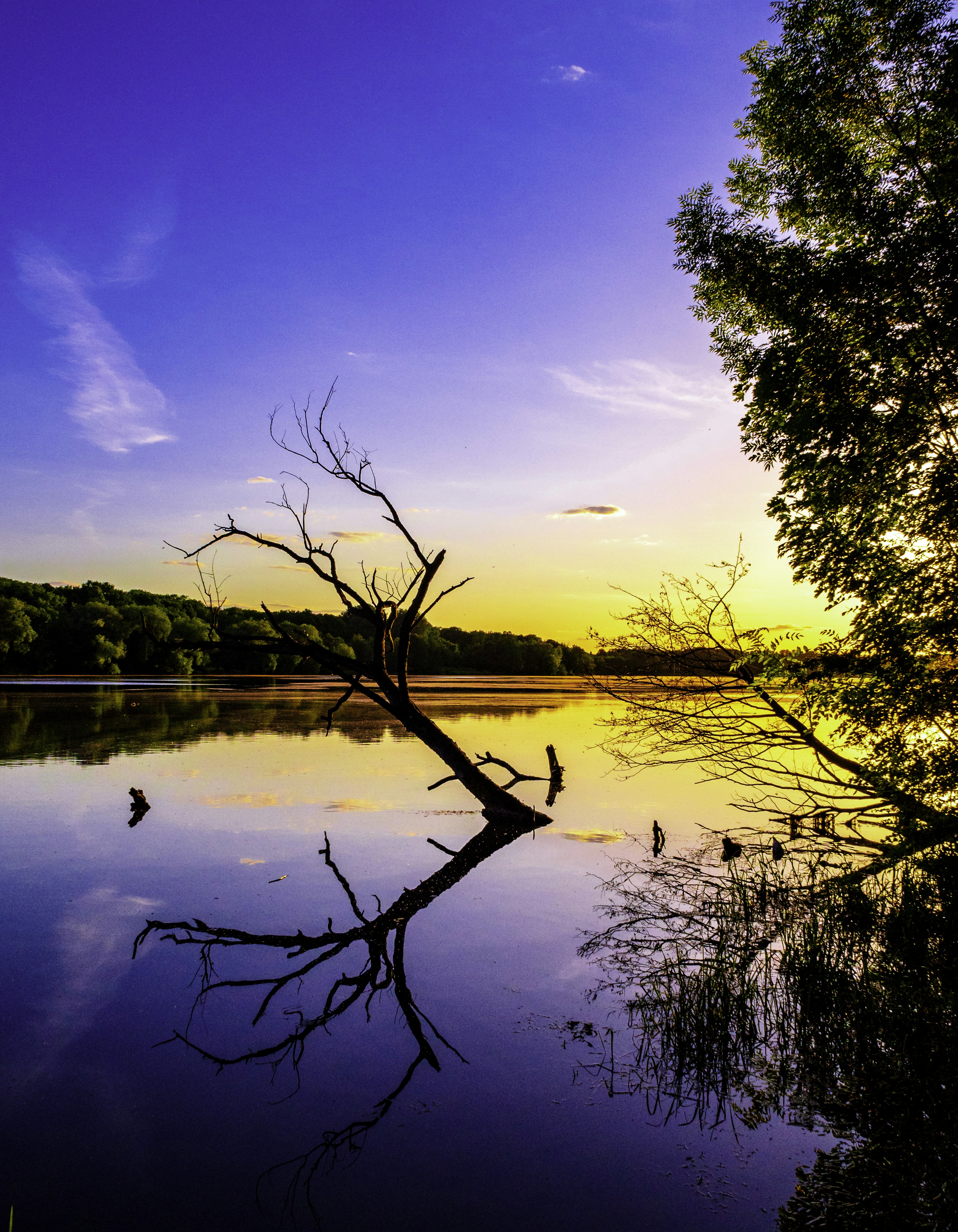 Photo by radek_blackseven