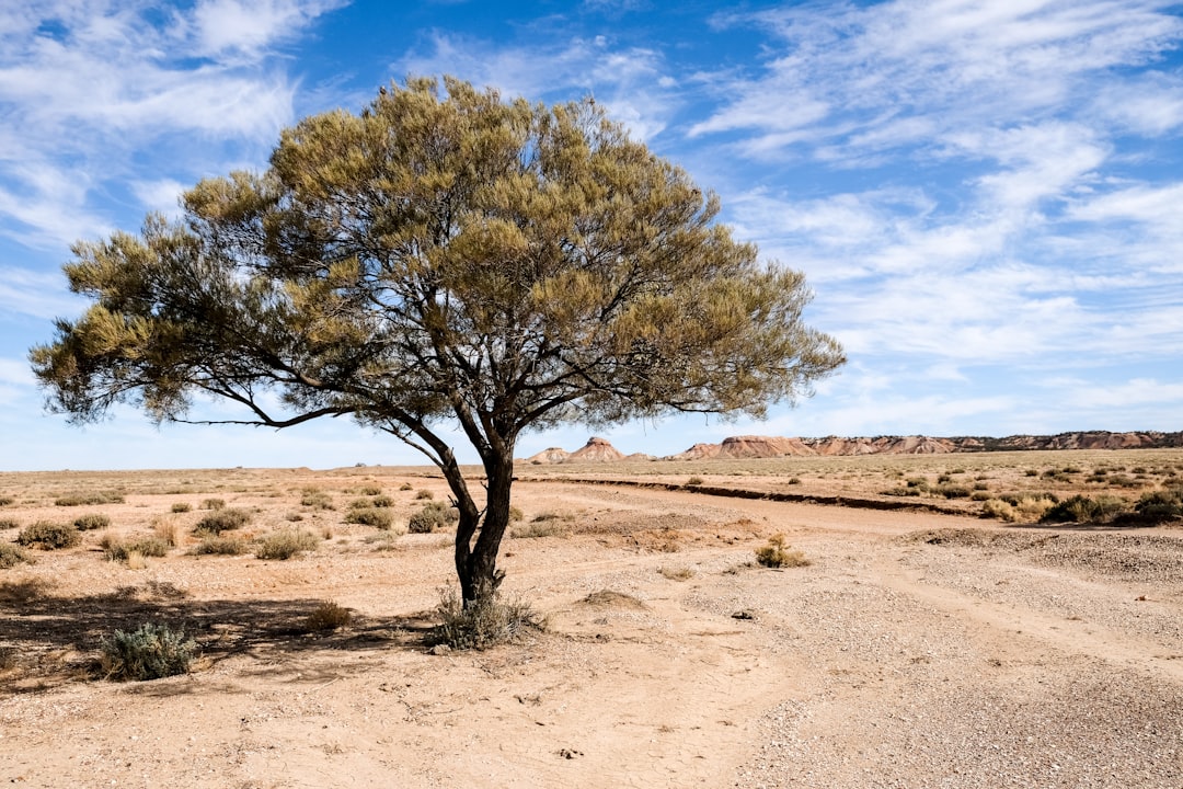 Ecoregion photo spot Painted Desert Road Australia