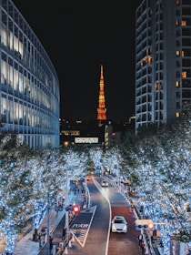 cars on road near high rise buildings during night time
