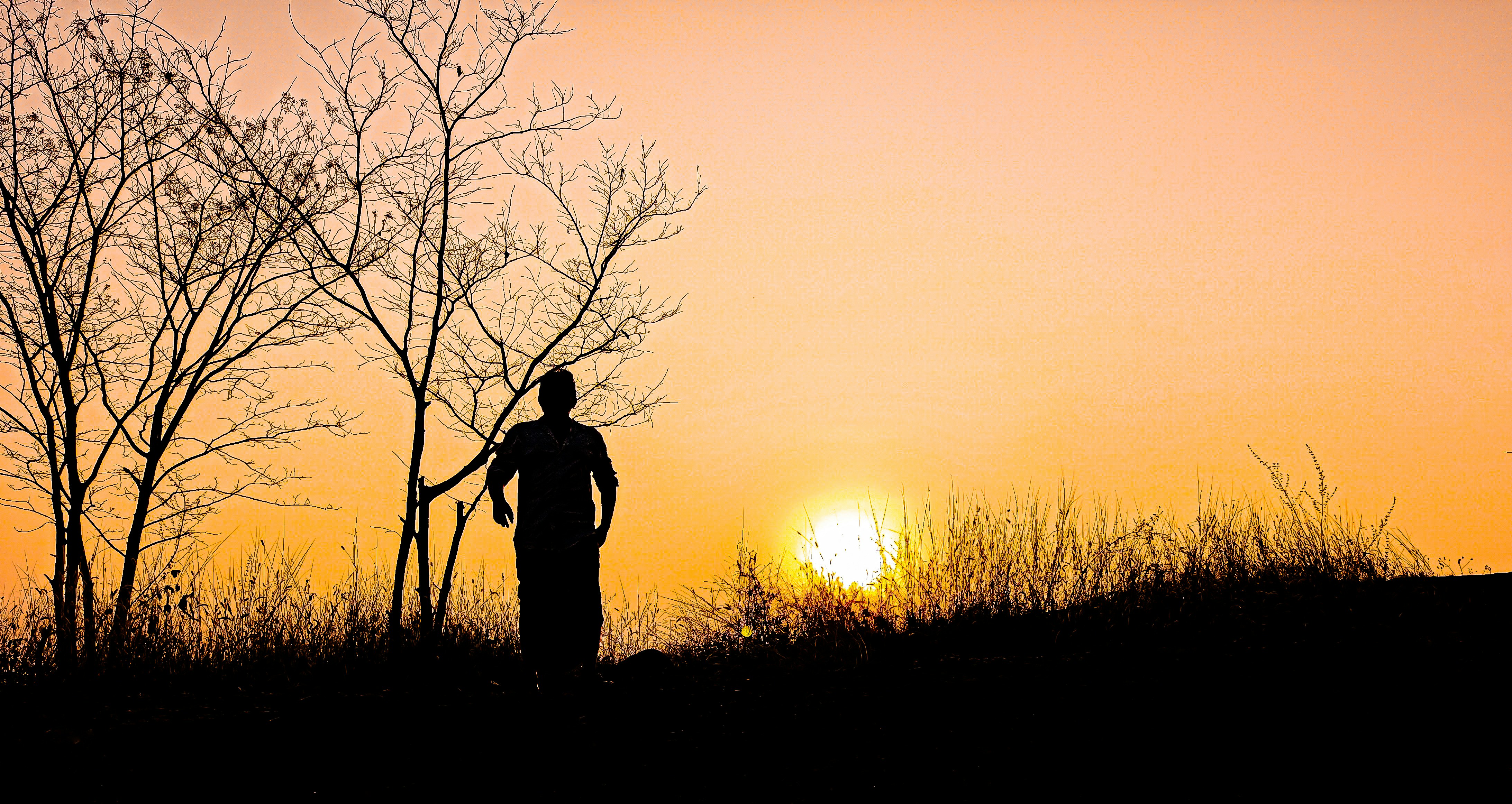 Photo by jaison52407