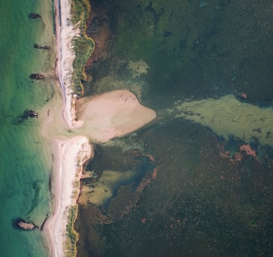 aerial view of green sea and white sand during daytime