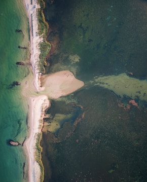 aerial view of green sea and white sand during daytime