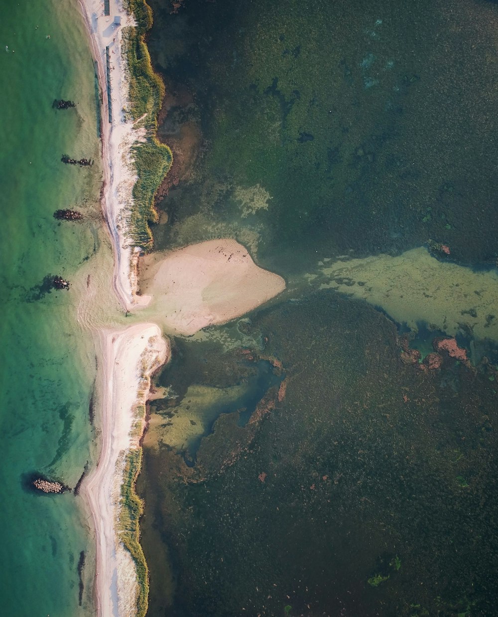 aerial view of green sea and white sand during daytime