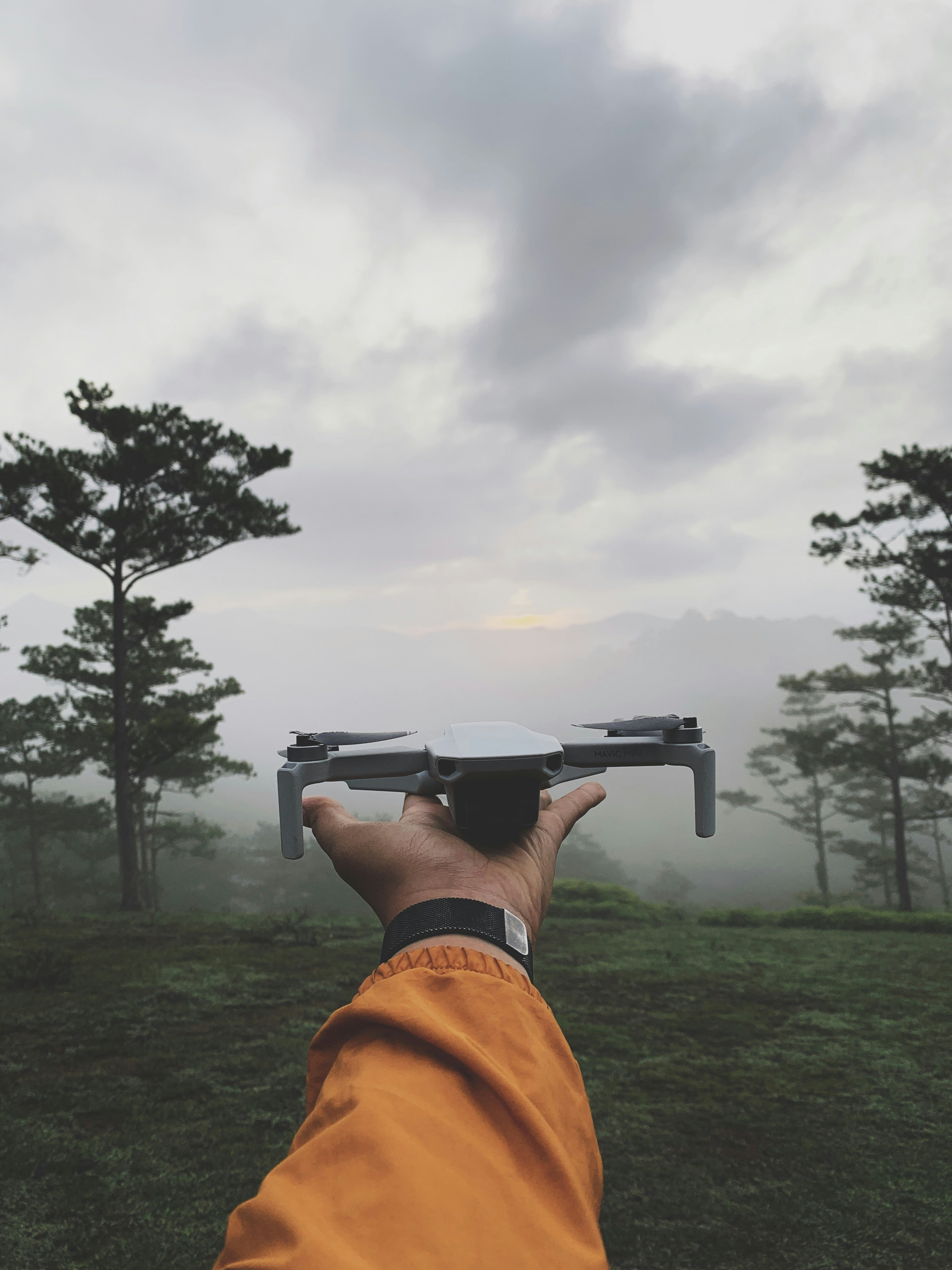 Photo by baophan0106