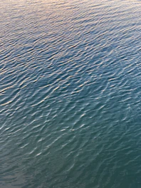 Soft ripples spreading across a calm blue lake at sunrise, reflecting hope and new beginnings.