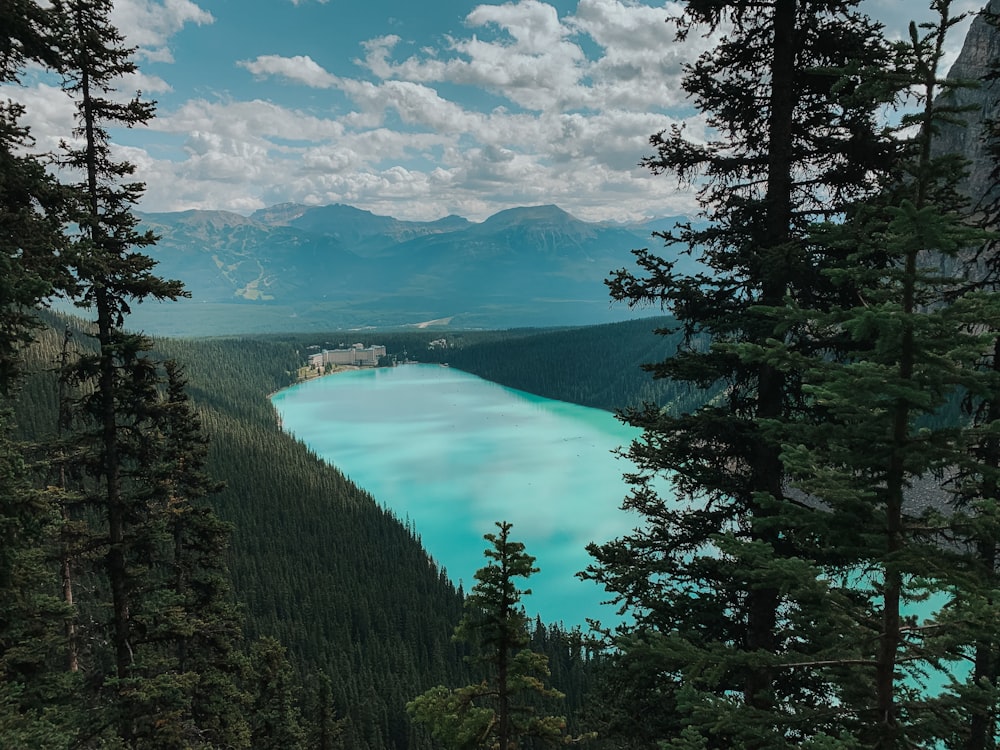 árboles verdes cerca del lago bajo nubes blancas y cielo azul durante el día