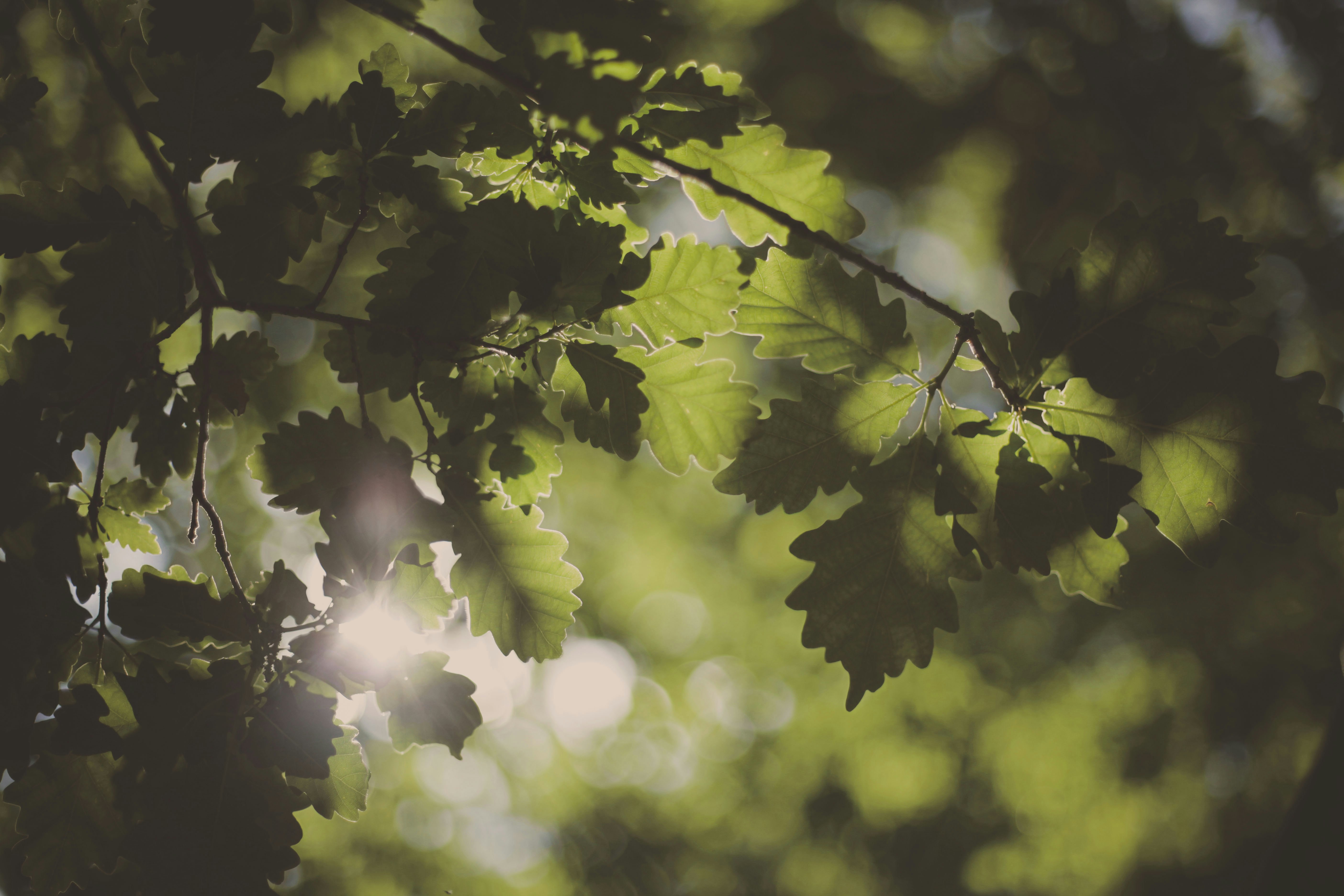 Photo by quadratmedia