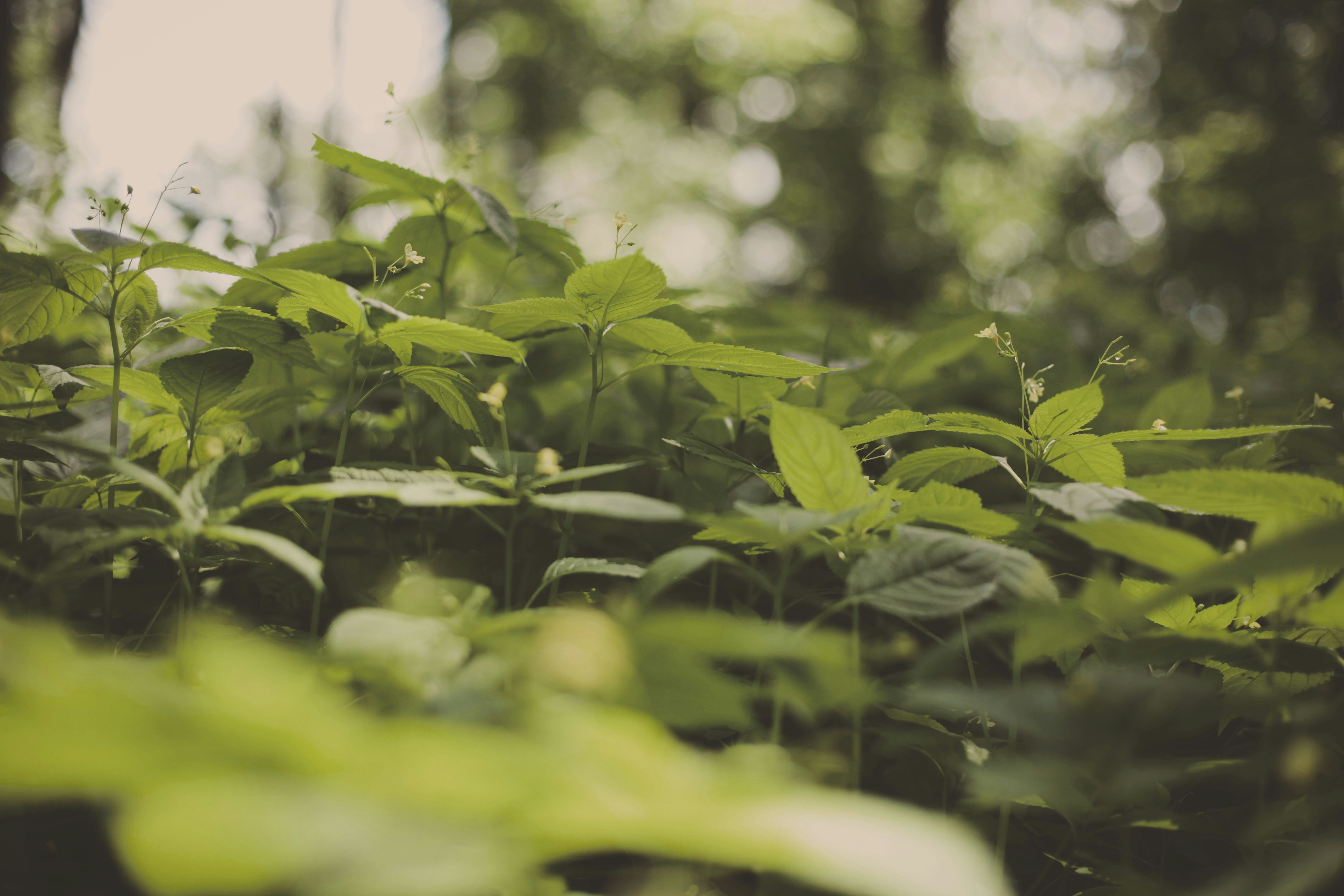 Photo by quadratmedia