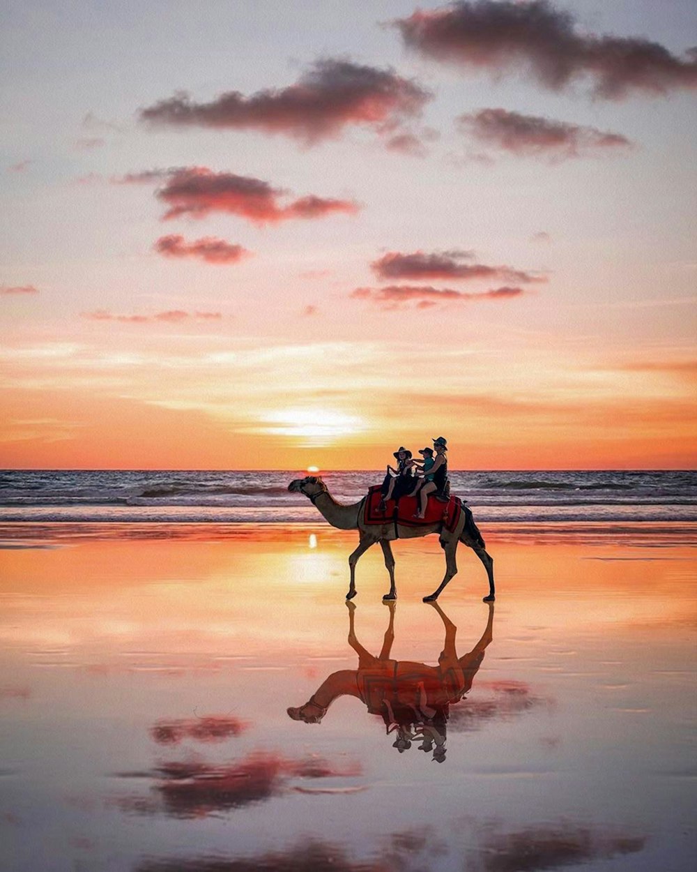man in black jacket and brown pants riding on horse on beach during sunset