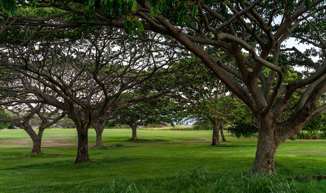 photo of Hawai'i Nature reserve near Kīlauea