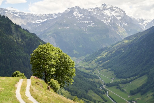 A picturesque mountain landscape with a winding path leading through lush green hills. Snow-capped peaks rise in the background under a partly cloudy sky. Tall trees are scattered across the hillsides, and a small valley lies below with a river running through it.