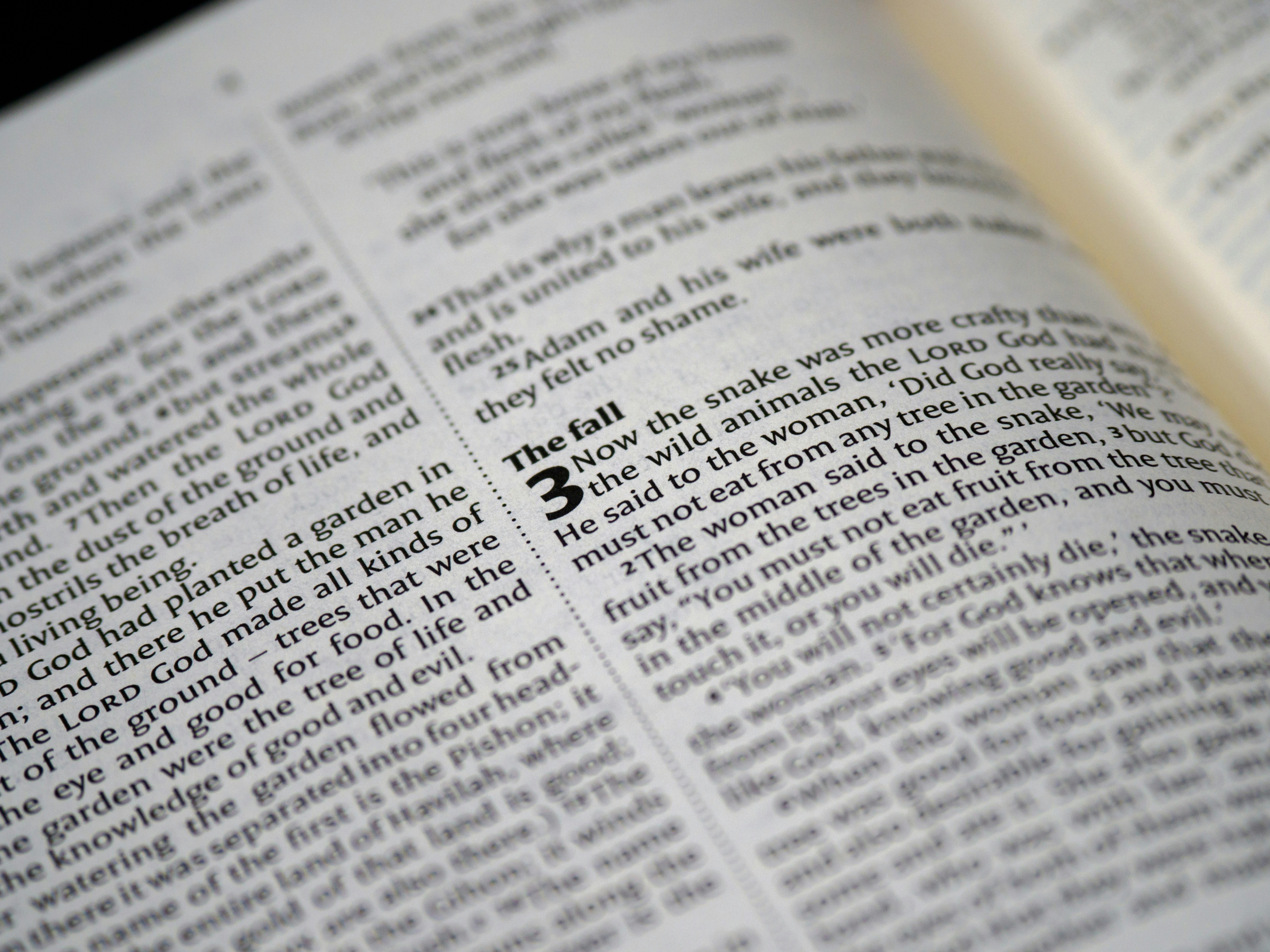 Photo by brett_jordan