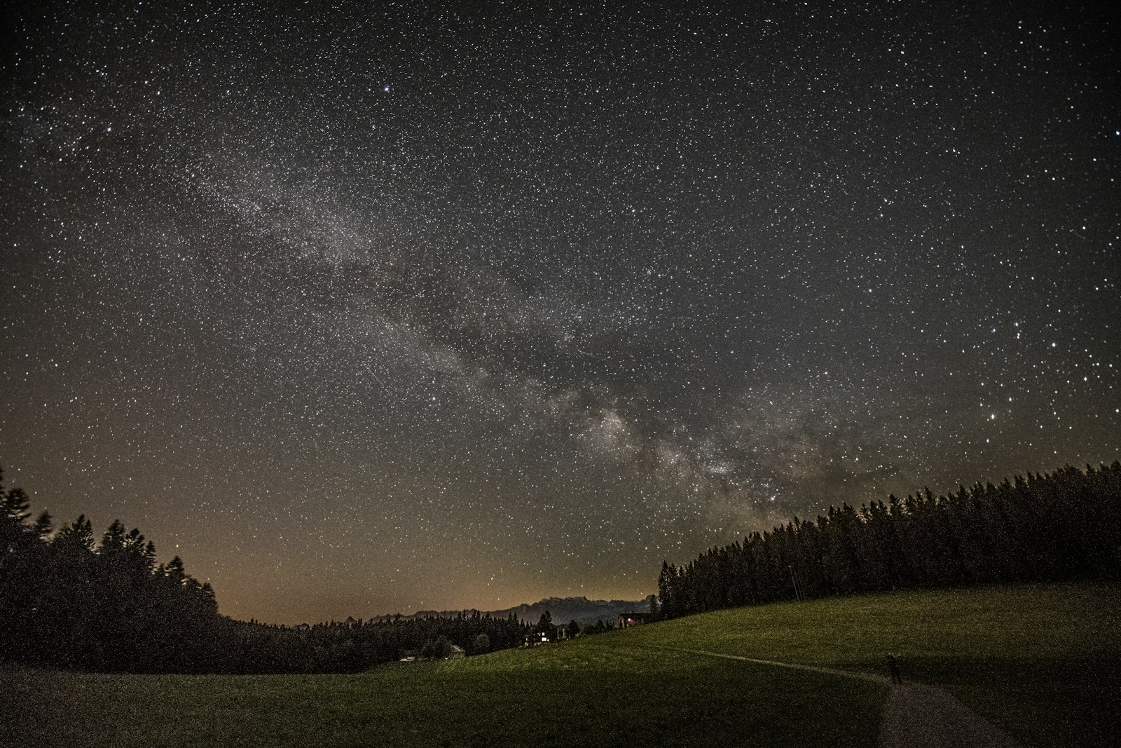 Nikon D850 + Nikon AF-S Nikkor 14-24mm F2.8G ED sample photo. Green grass field under photography