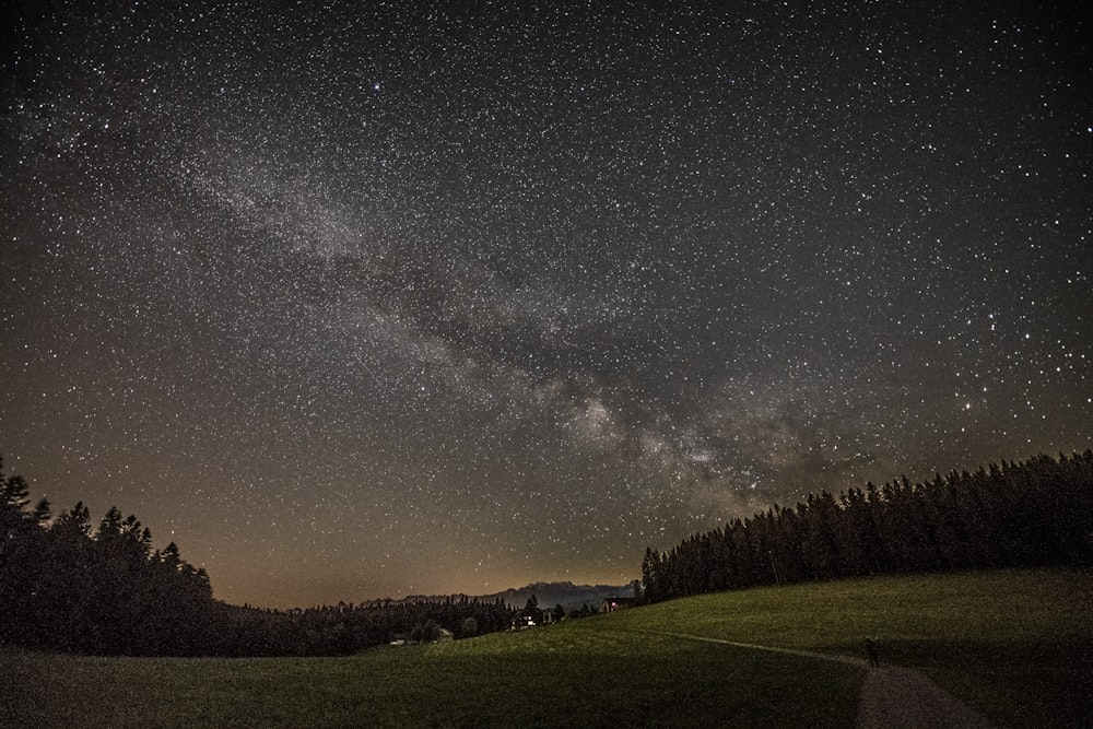 green grass field under starry night