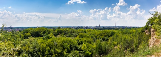 green trees under blue sky during daytime in Częstochowa Poland