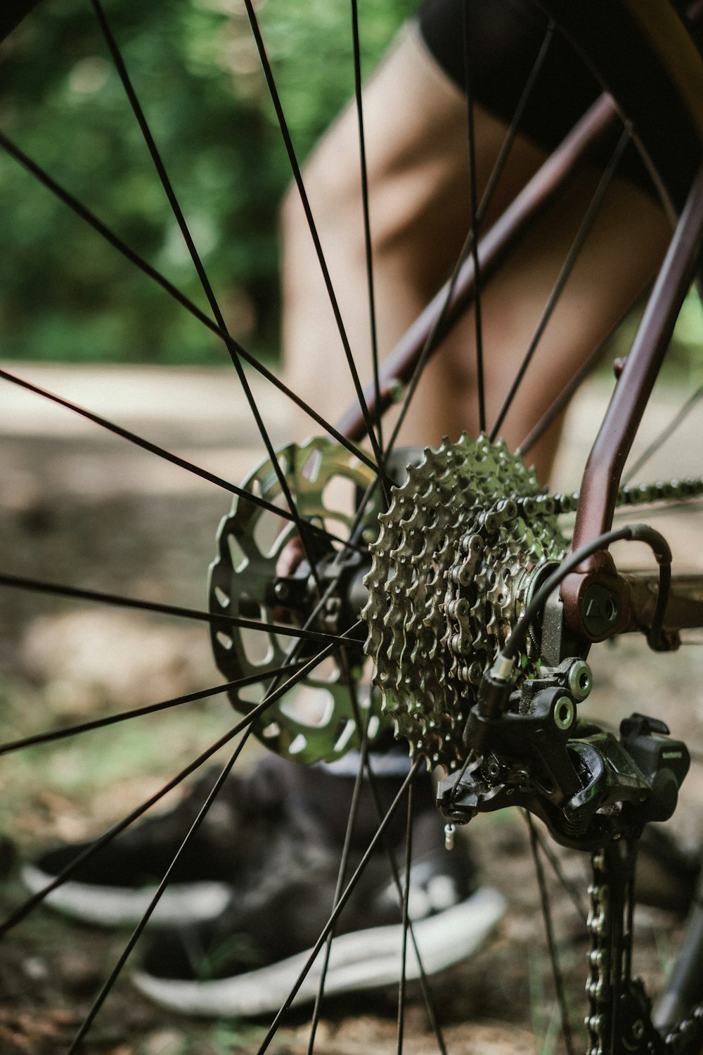 pink bicycle wheel with green and white flowers